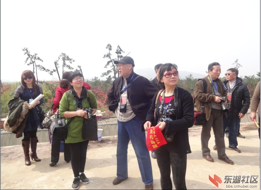 QQ截图20130331170249.jpg