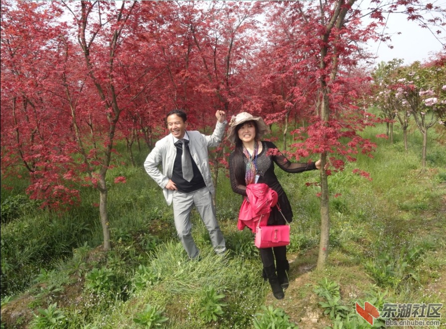 QQ截图20130331170754.jpg