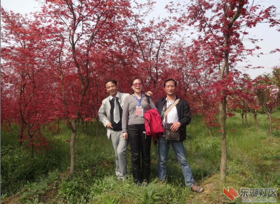 QQ截图20130331170821.jpg