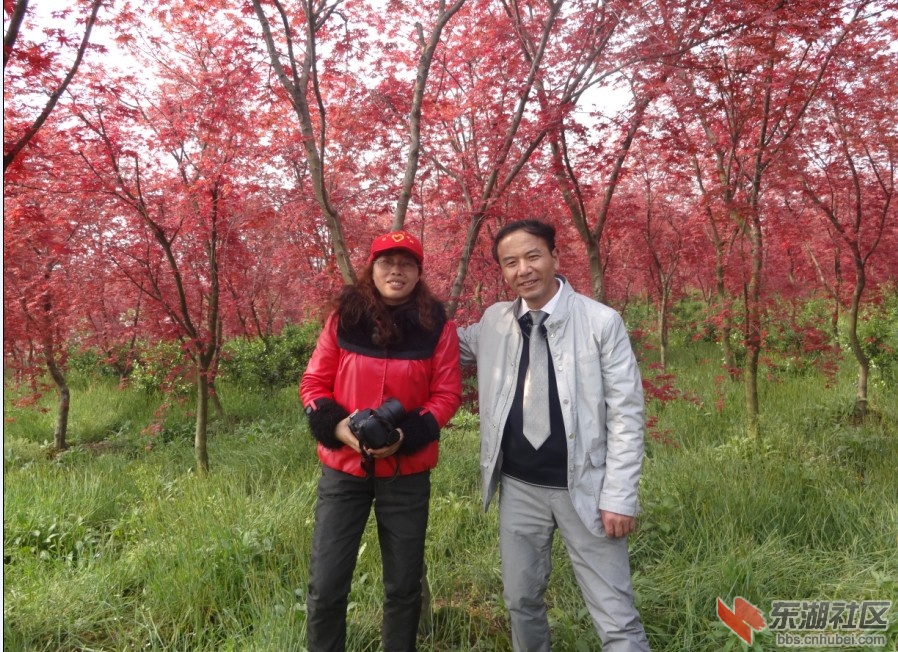 QQ截图20130331170847.jpg