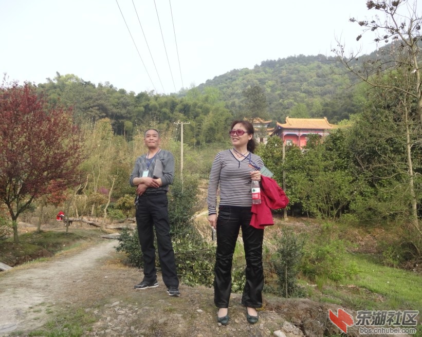 QQ截图20130331170937.jpg