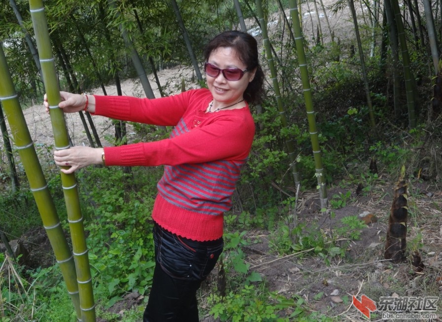 QQ截图20130331171341.jpg