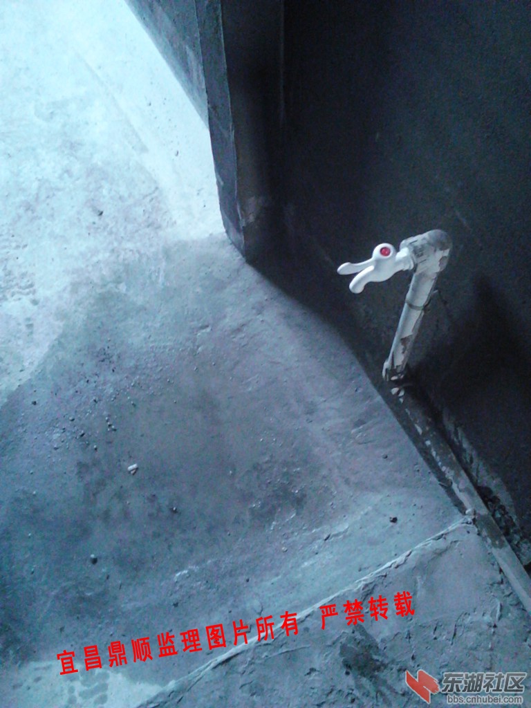 IMG_20130328_121724副本.jpg