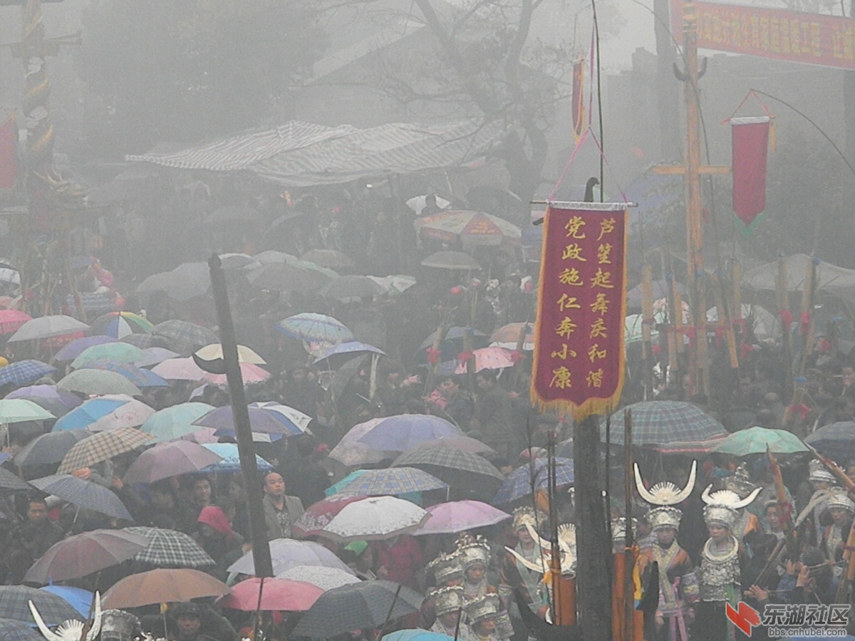 雨中雾里