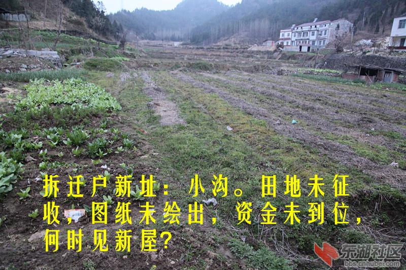IMG_1178_副本.jpg