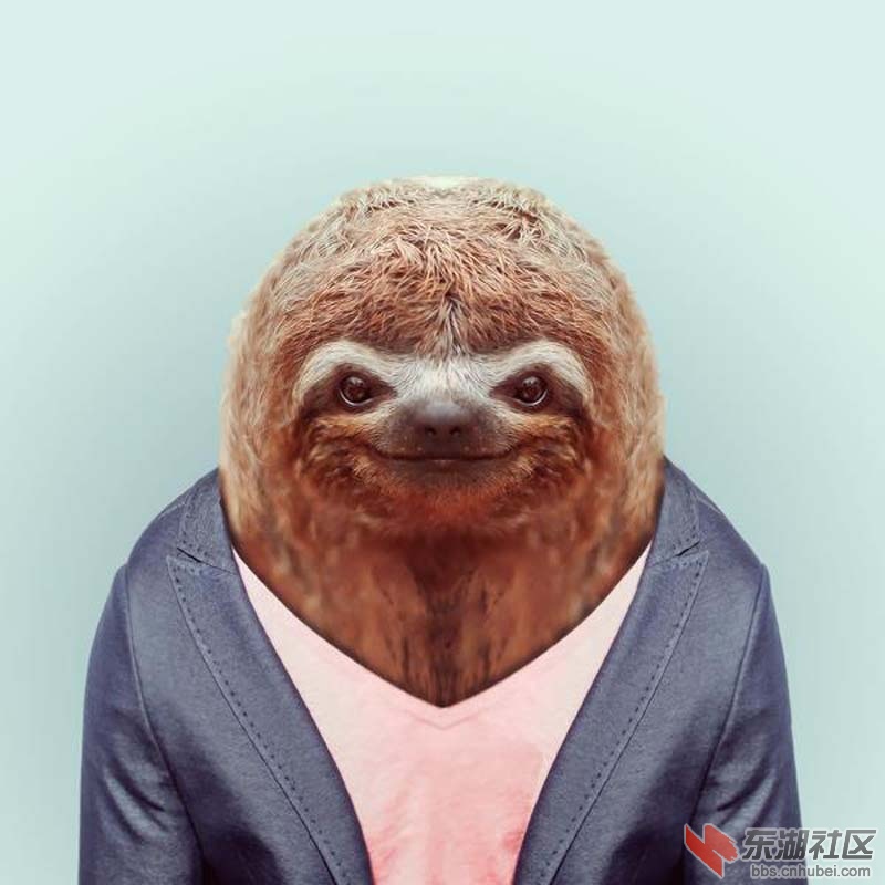 Animals-Dressed-Like-Humans-9.jpg