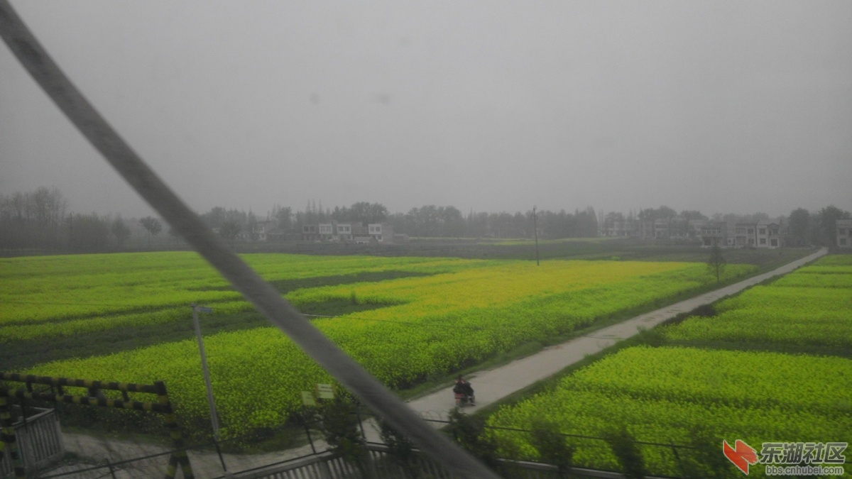 IMAG0679.jpg