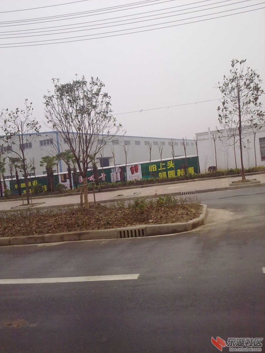 20130330079.jpg