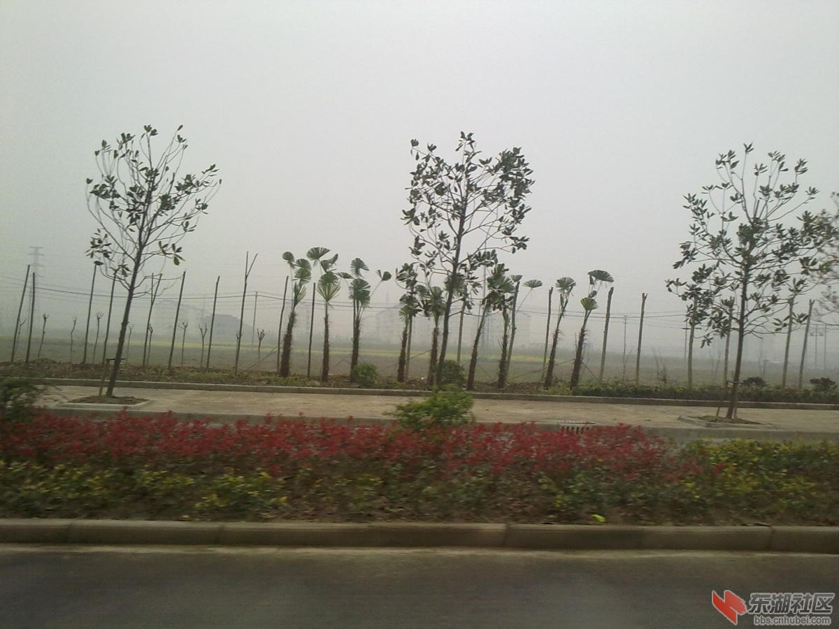 20130330076.jpg