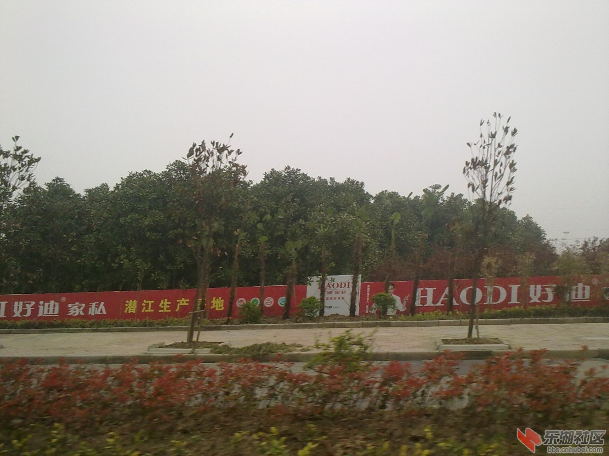 20130330067.jpg