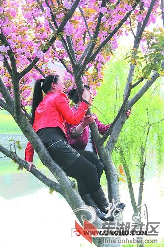 jingzhou_2013040110240930HAg.jpg