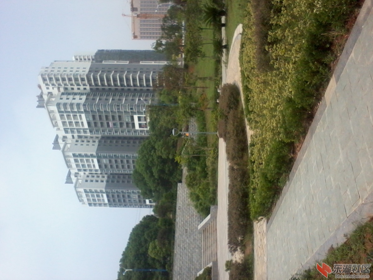 2012-08-14 11.29.31.jpg