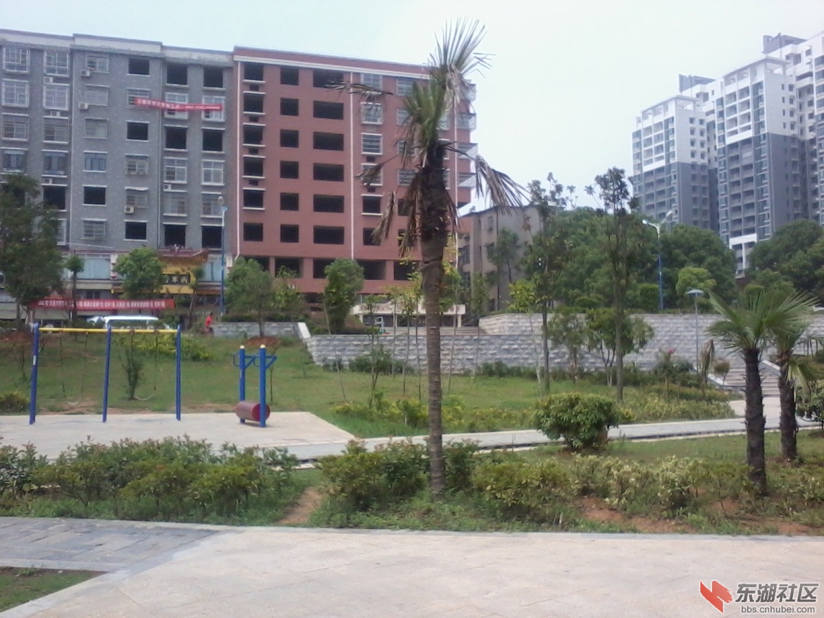 2012-08-14 11.30.55.jpg