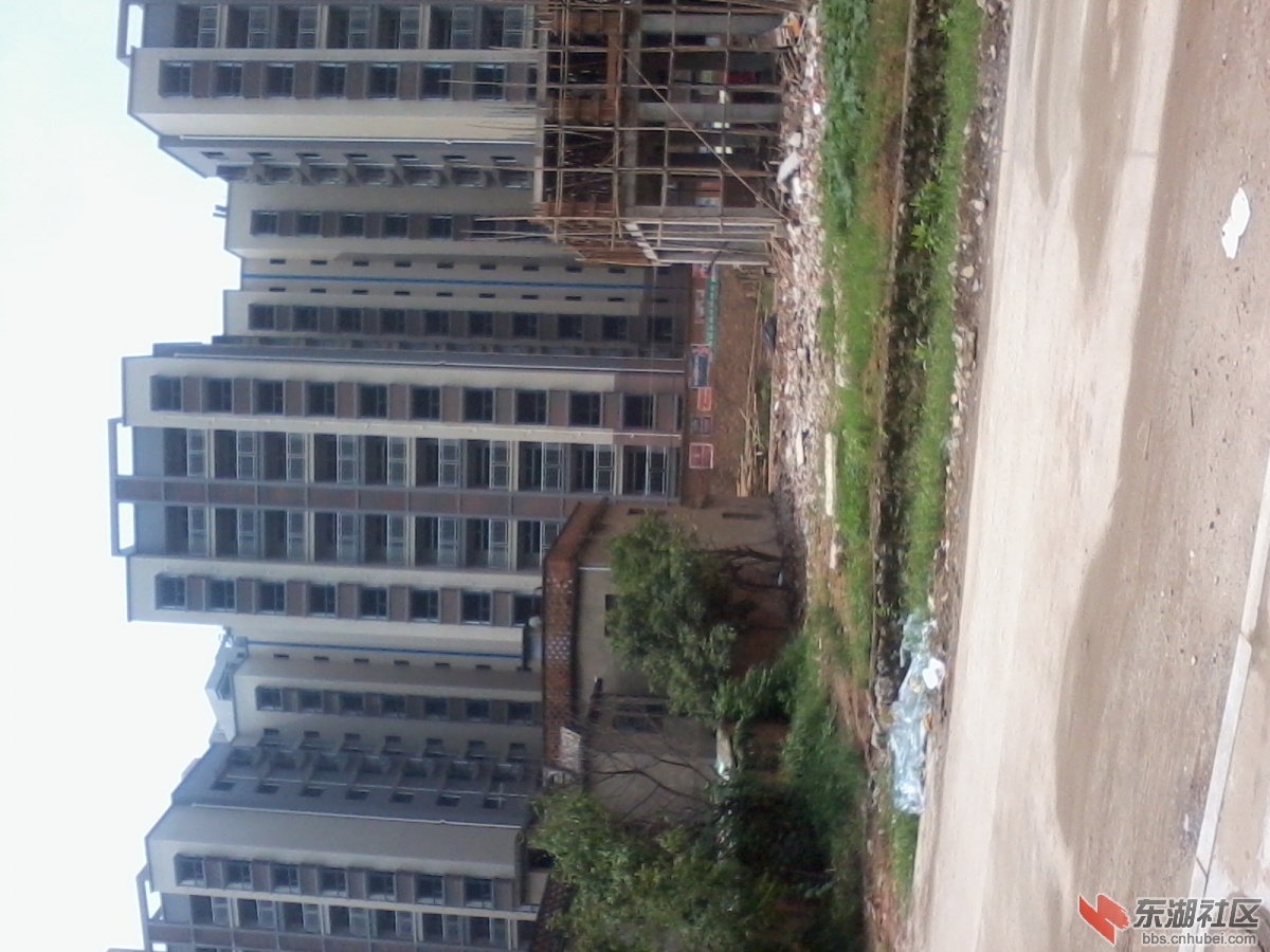 2012-08-14 11.39.32.jpg