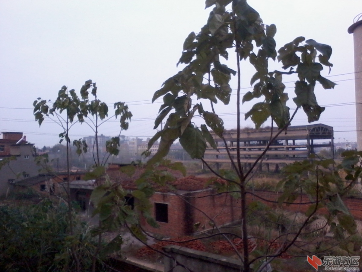 2012-11-24 15.51.09.jpg