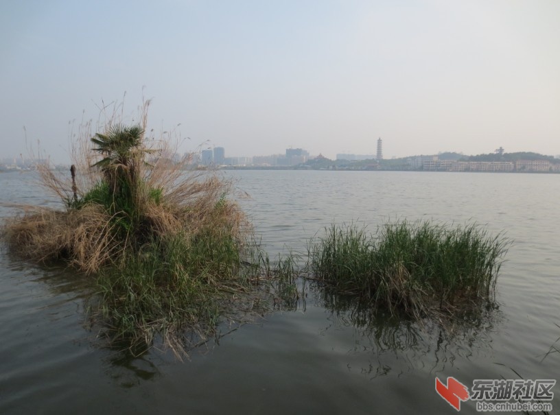 未命名.jpg
