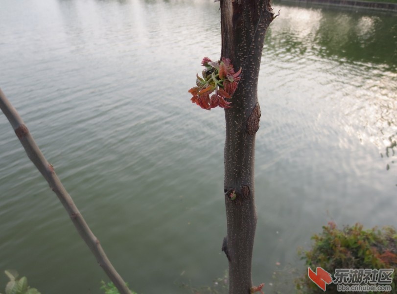 未命名.jpg