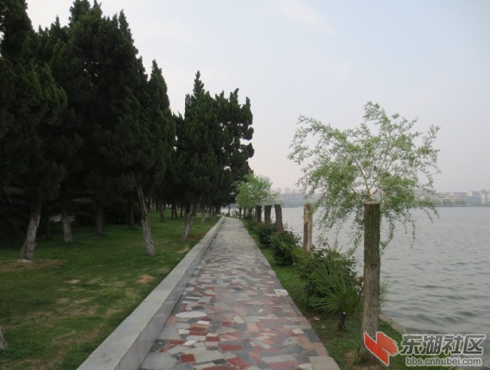 未命名.jpg