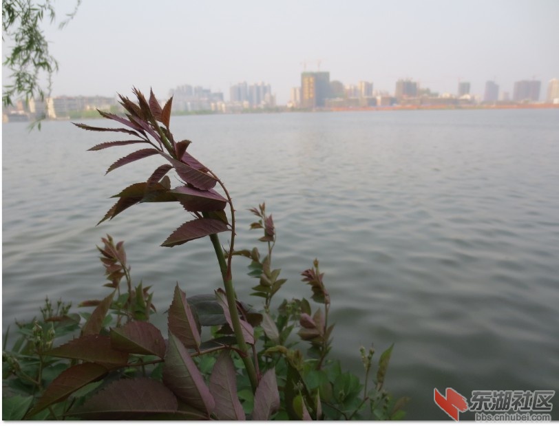 未命名.jpg