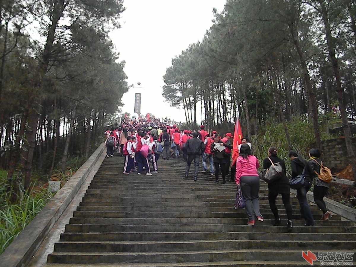 DSCN8590.JPG