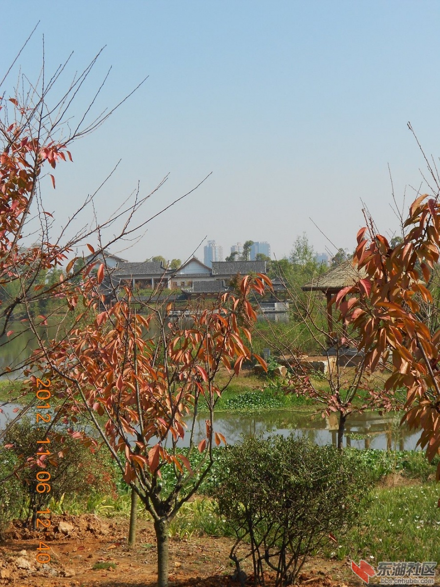 DSCN2724.JPG