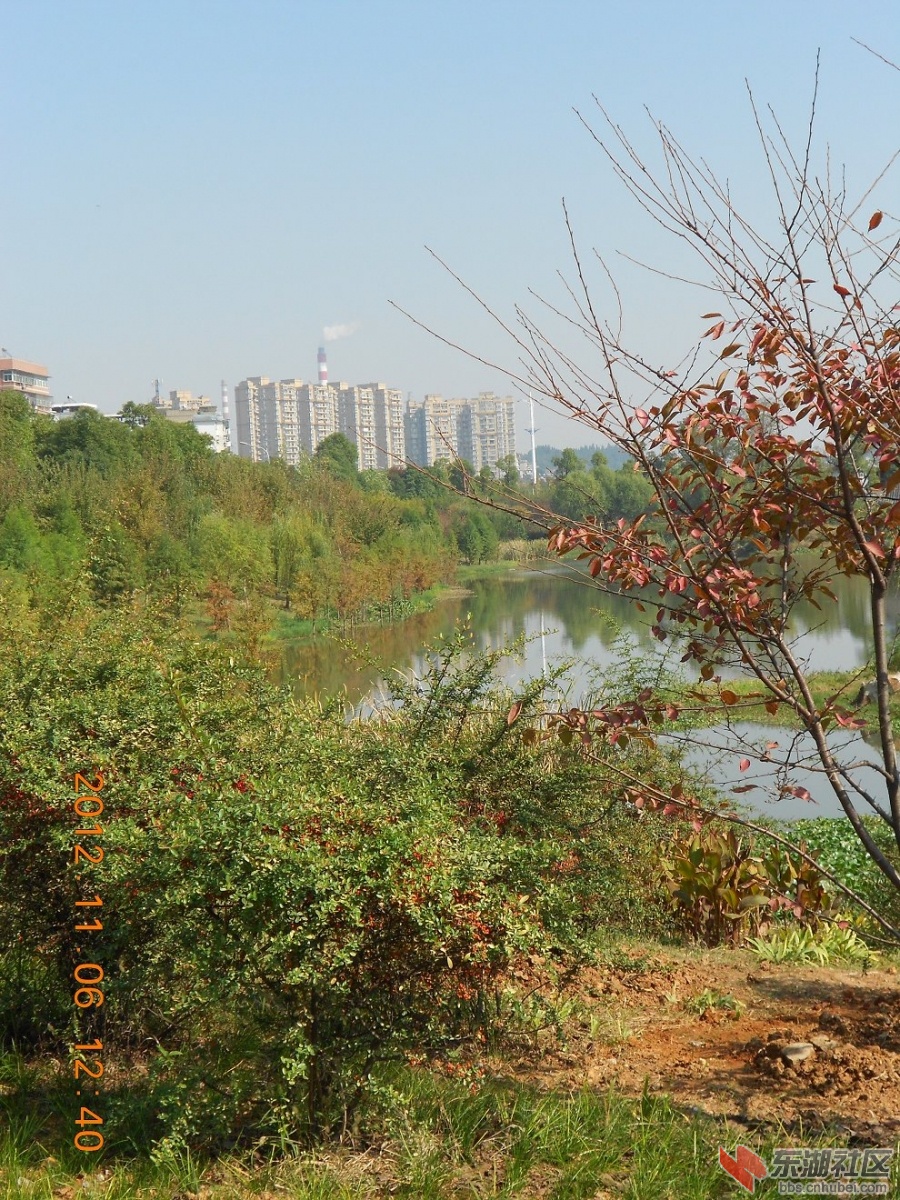 DSCN2725.JPG