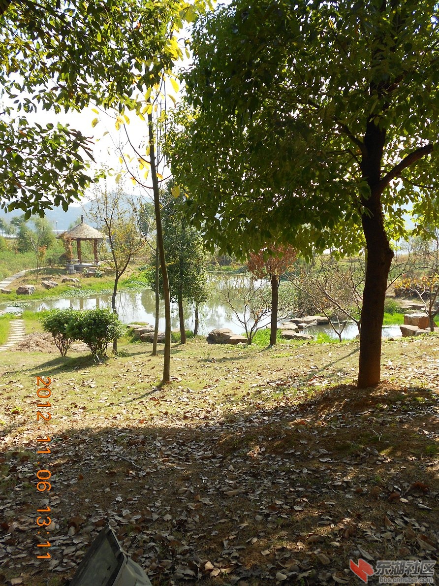 DSCN2734.JPG