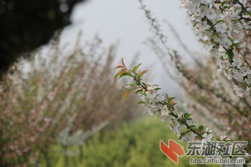 nEO_IMG_DSC_1680.jpg