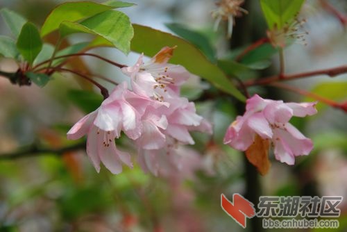 nEO_IMG_DSC_1761.jpg