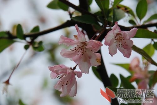 nEO_IMG_DSC_1766.jpg