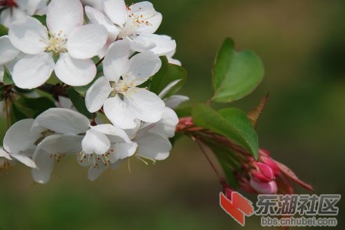 nEO_IMG_DSC_1792.jpg