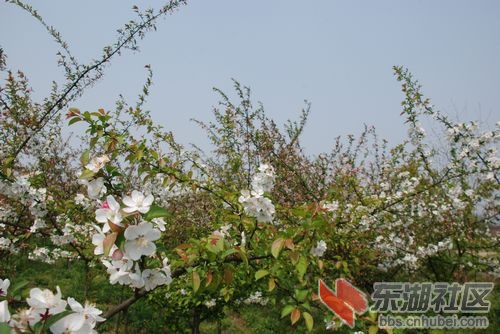 nEO_IMG_DSC_1793.jpg