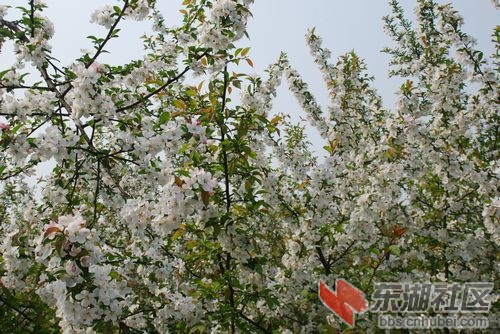 nEO_IMG_DSC_1812.jpg