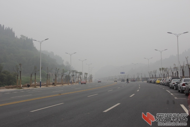 2013.4.4 004.jpg