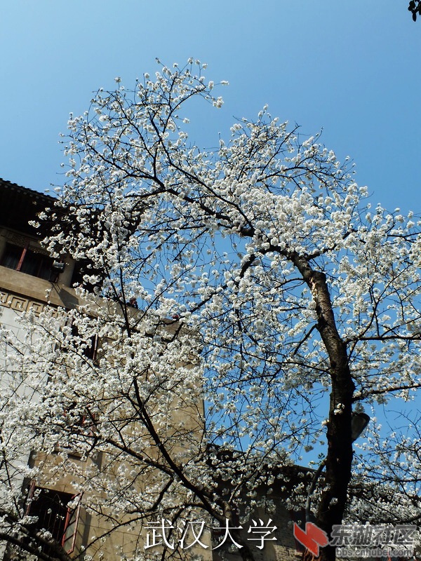 DSCF3003_缩小大小_exposure.JPG