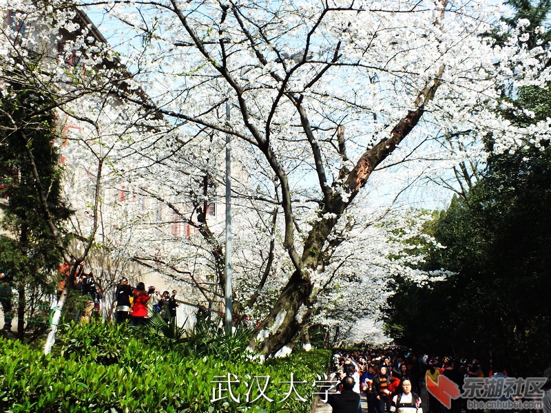 DSCF3009_缩小大小_exposure.JPG
