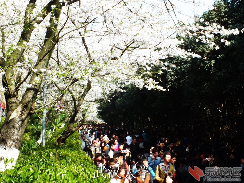 DSCF3033_缩小大小_exposure.JPG
