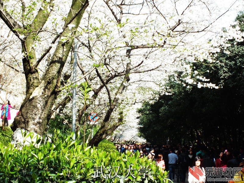 DSCF3038_缩小大小_exposure.JPG