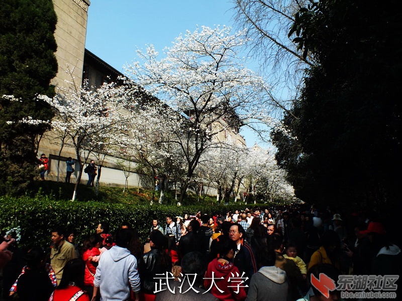 DSCF3054_缩小大小_exposure.JPG