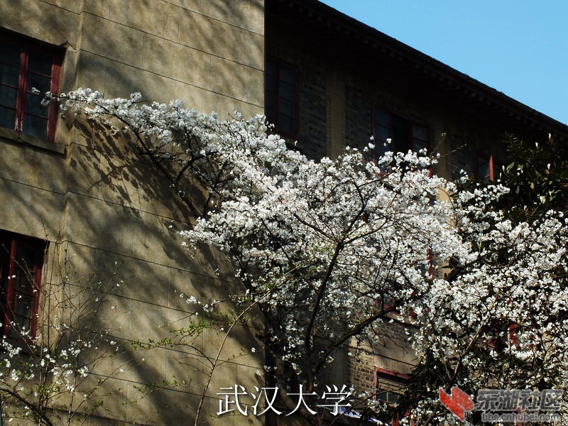 DSCF3067_缩小大小_exposure.JPG