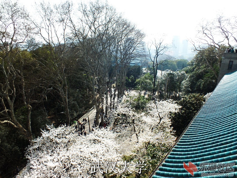 DSCF3085_缩小大小_exposure.JPG