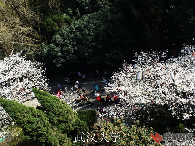 DSCF3089_缩小大小_exposure.JPG