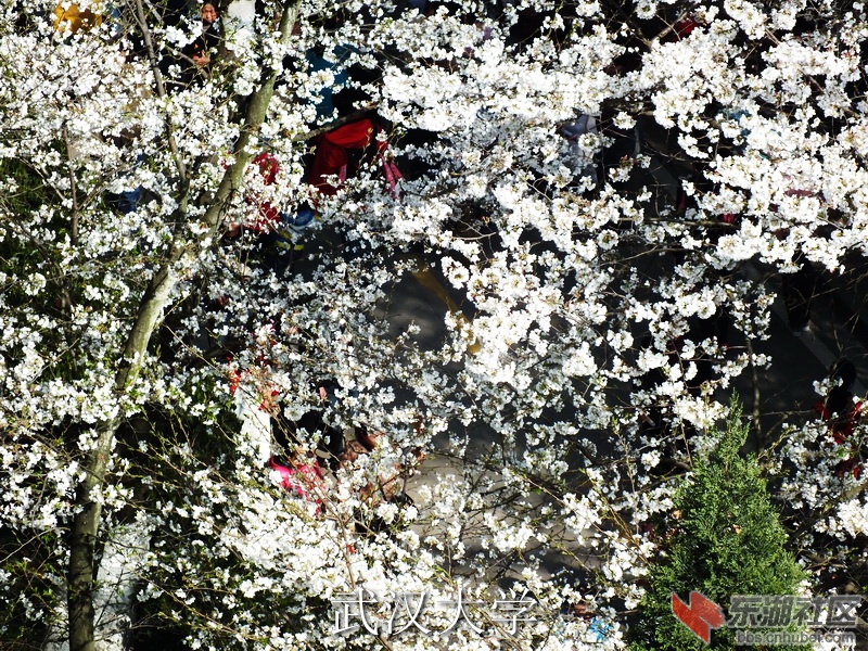 DSCF3092_缩小大小_exposure.JPG