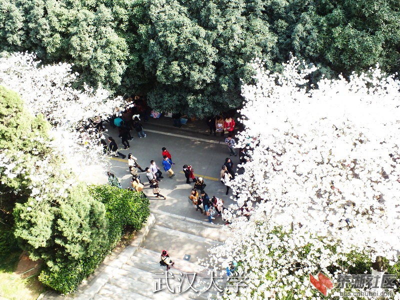 DSCF3120_缩小大小_exposure.JPG