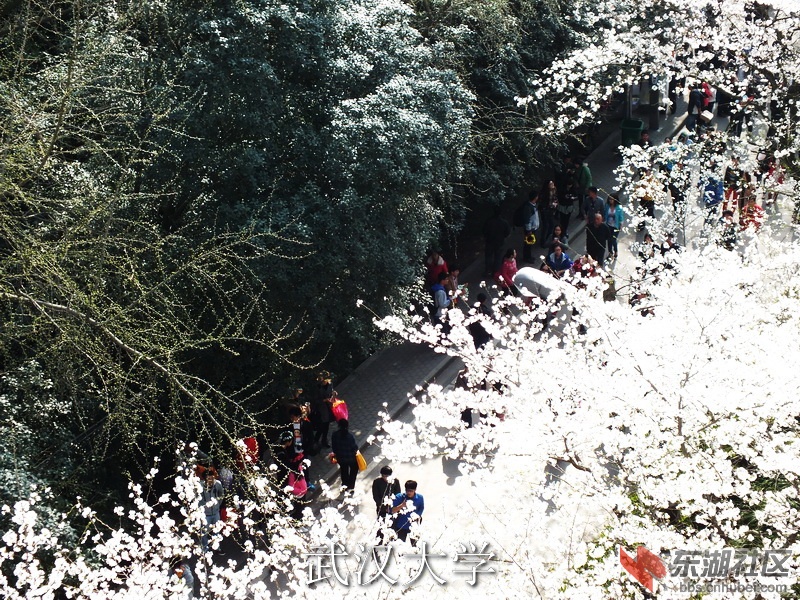 DSCF3122_缩小大小_exposure.JPG