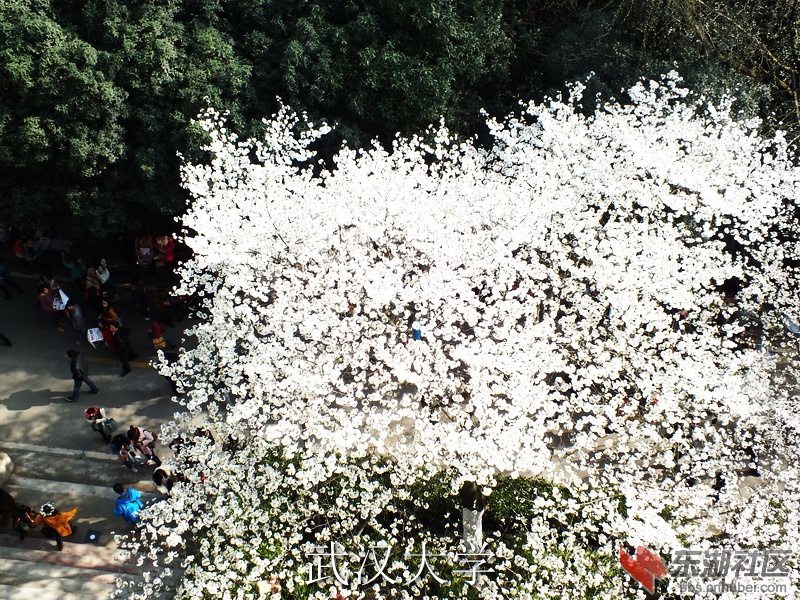 DSCF3129_缩小大小_exposure.JPG