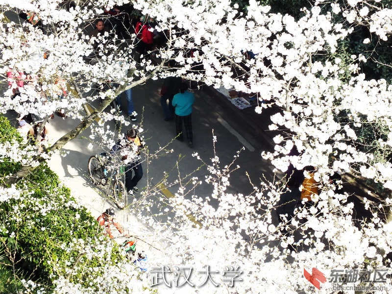 DSCF3131_缩小大小_exposure.JPG