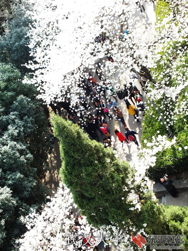 DSCF3137_缩小大小_exposure.JPG