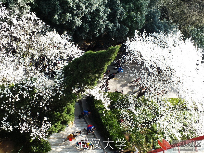 DSCF3145_缩小大小_exposure.JPG