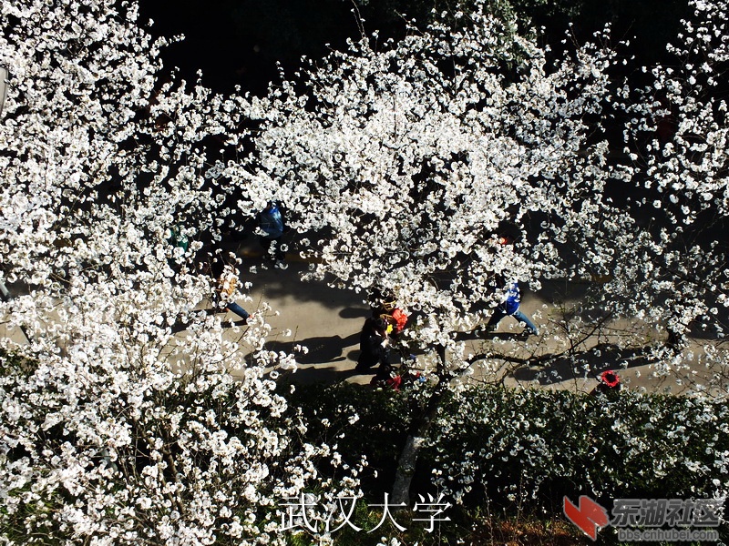 DSCF3149_缩小大小_exposure.JPG